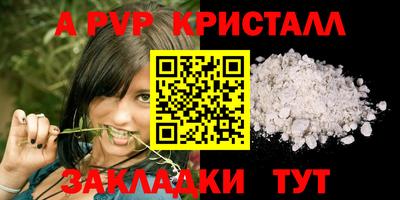 сатива Будённовск